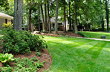 wooded area with a lush and freshly mowed lawn